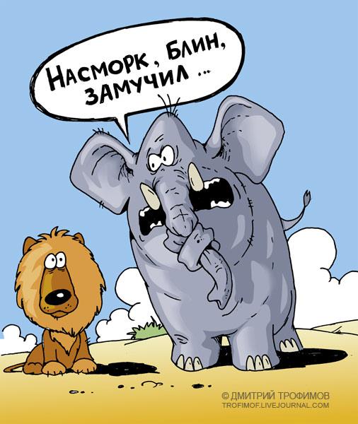 Карикатура: Насморк, Трофимов Дмитрий