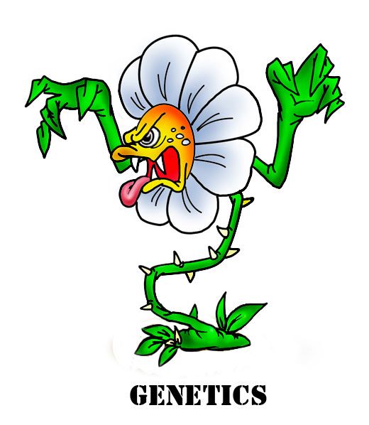 Карикатура: Генетика запада, Эфен Гайдэ