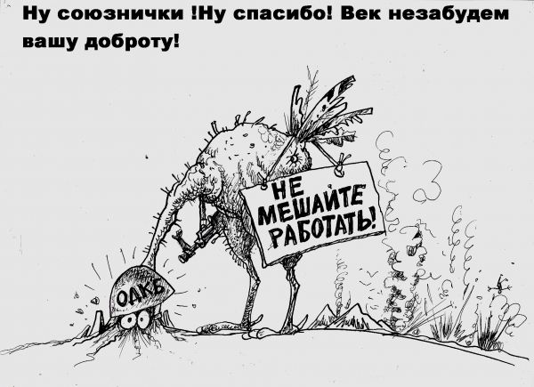 Карикатура: Союзнички, Избасаров Бауржан