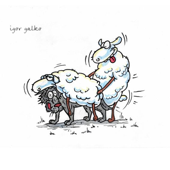 Карикатура: овцы, IgorHalko