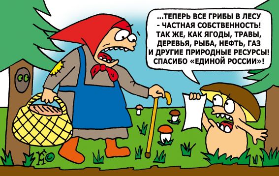 Карикатура: запрет на сбор грибов от "Единой России", Ганов Константин