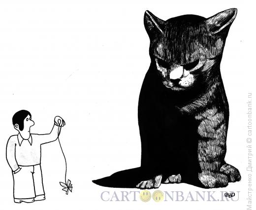 Карикатура: Игра с кошкой, Майстренко Дмитрий