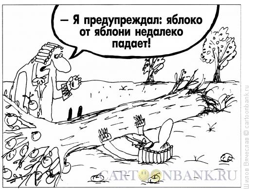 Карикатура: Яблоко и яблоня, Шилов Вячеслав