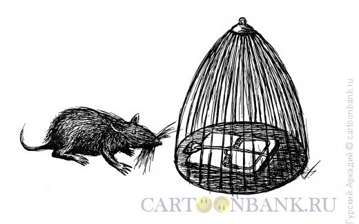 Карикатура: крыса перед клеткой, Гурский Аркадий