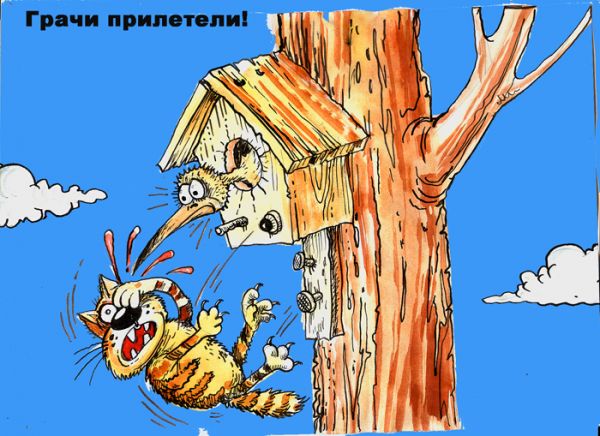 Карикатура: Грачи прилетели, Избасаров Бауржан