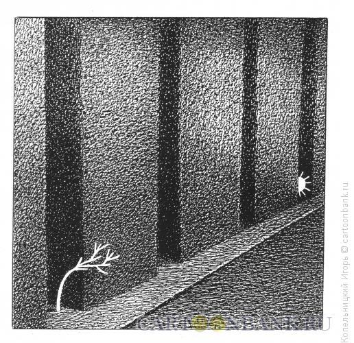 Карикатура: дерево  солнце и дома, Копельницкий Игорь