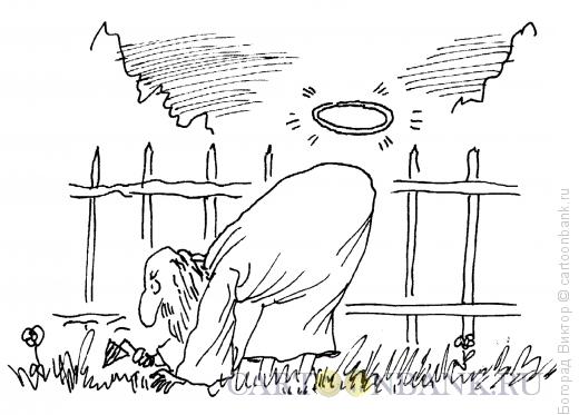 Карикатура: Святой на грядках, Богорад Виктор
