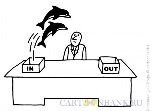 Карикатура: дельфины, Копельницкий Игорь