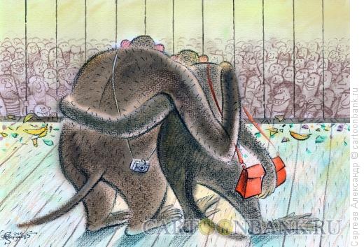 Карикатура: Посетители в зоопарке, Сергеев Александр