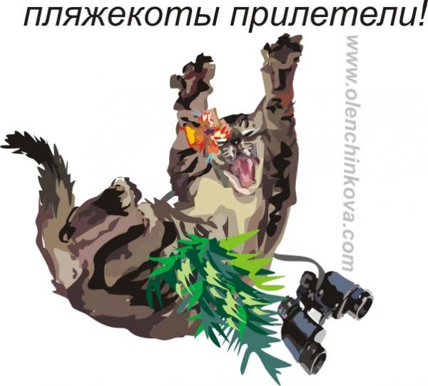 Карикатура: пляжный кот, olenchinkova