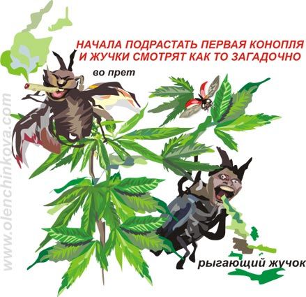 Карикатура: жучки обкурились, olenchinkova