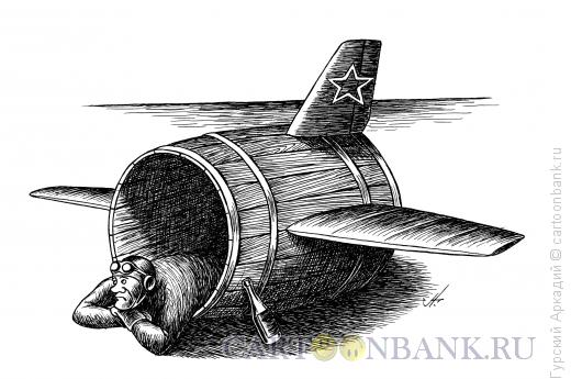 Карикатура: диоген-лётчик, Гурский Аркадий