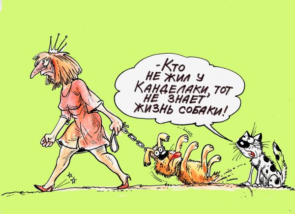 Карикатура: ВСЕ СОБАКИ  ОБОЖЖАЮТ  КАНДЕЛАКИ!, ИЗБАСАРОВ БАУРЖАН