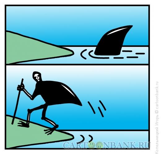 Карикатура: акула на земле, Копельницкий Игорь