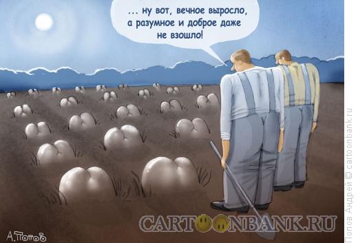 Карикатура: Разумное, Доброе, ВЕЧНОЕ, Попов Андрей