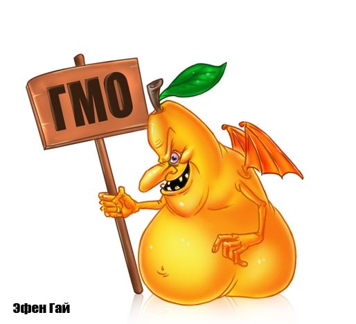 Карикатура: Карикатура ГМО, Эфен Гайдэ