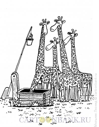 Карикатура: На водопое, Мельник Леонид