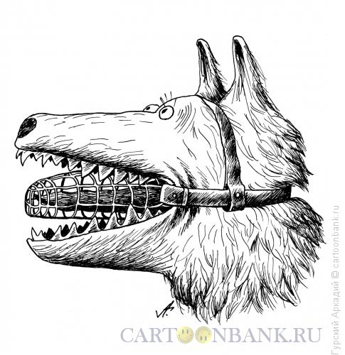Карикатура: собака с намордником, Гурский Аркадий
