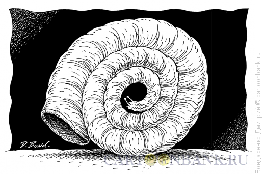 Карикатура: Улитка вовнутрь, Бондаренко Дмитрий