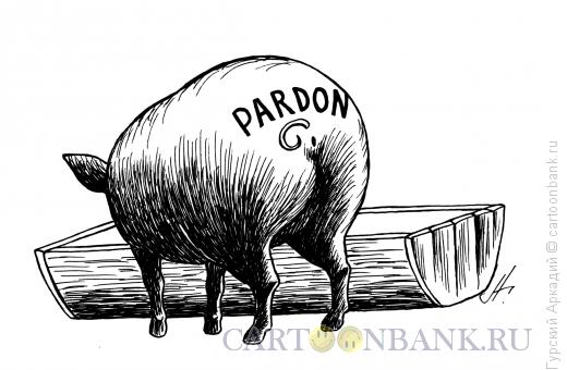 Карикатура: свинья-пардон, Гурский Аркадий