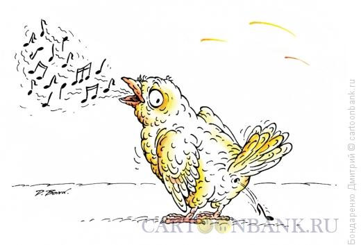Карикатура: Птичка и нотка, Бондаренко Дмитрий