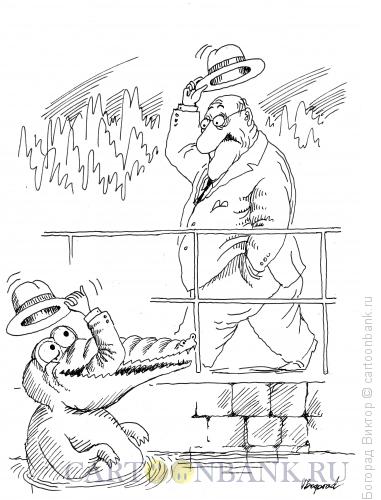 Карикатура: Встреча в зоопарке, Богорад Виктор