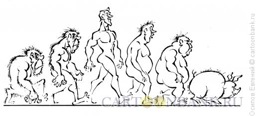 Карикатура: эволюция, Осипов Евгений