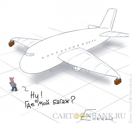 Карикатура: Где багаж?, Ёлкин Сергей