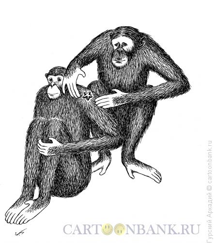 Карикатура: обезьяны и звезда, Гурский Аркадий