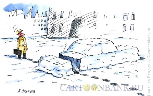 Карикатура: зимниее чудо, Ненашев Владимир