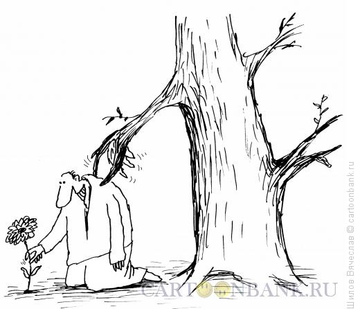 Карикатура: Дерево-защитник, Шилов Вячеслав