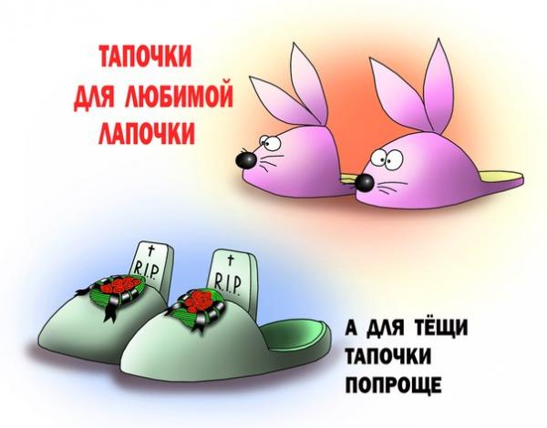 Карикатура: Тапочки, Сергей Корсун