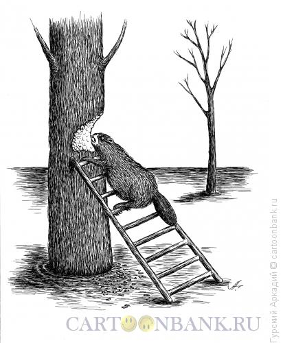 Карикатура: бобр на лестнице, Гурский Аркадий
