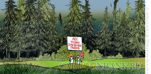 Карикатура: Грибы в лесу, Сергеев Александр