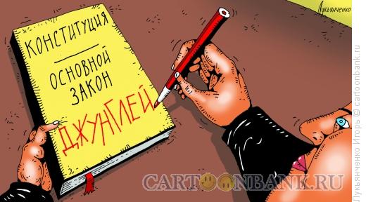 Карикатура: Конституция, Лукьянченко Игорь