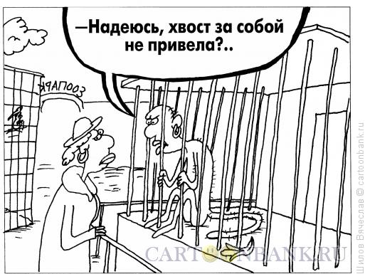 Карикатура: Хвост, Шилов Вячеслав