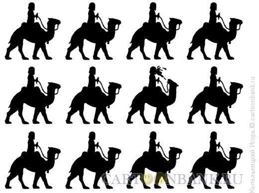 Карикатура: верблюды, Копельницкий Игорь