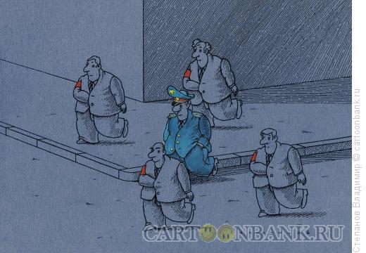 Карикатура: Охрана порядка, Степанов Владимир