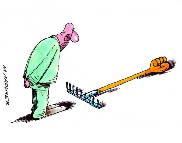 Карикатура: грабли, михаил ларичев