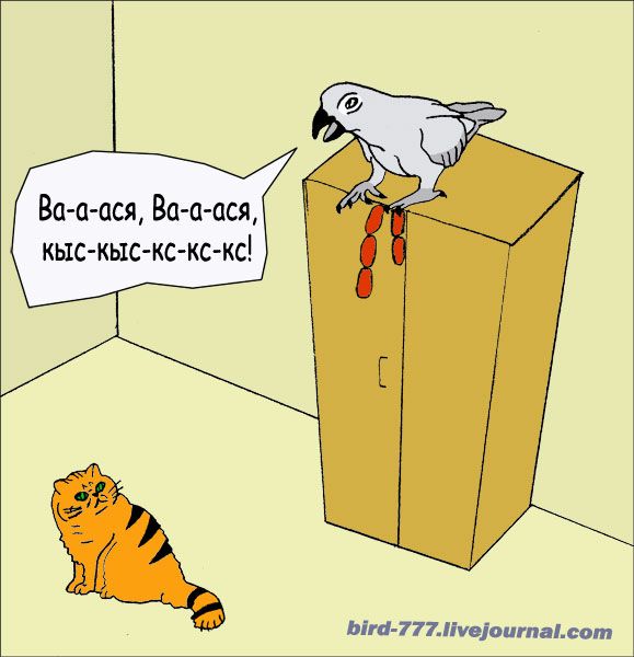 Карикатура: Птичья подлость, Птица Счастья