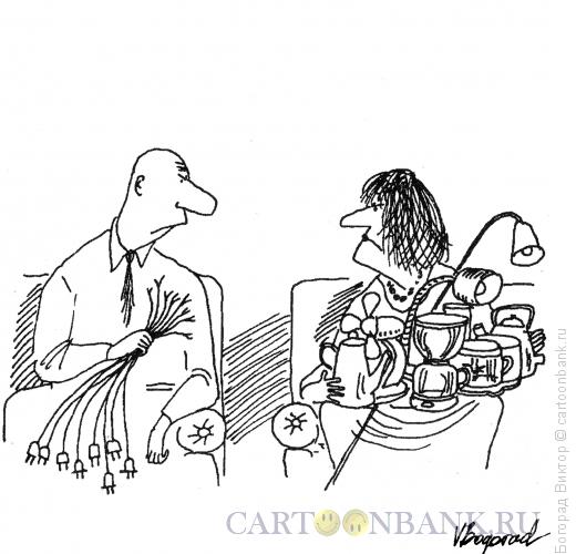 Карикатура: Раздел имущества, Богорад Виктор