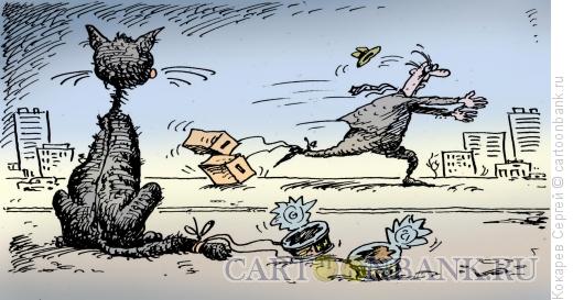 Карикатура: на выборы, Кокарев Сергей