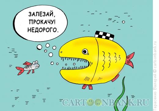 Карикатура: Рыба-такси, Тарасенко Валерий