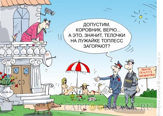 Карикатура: тёлочки на даче, Кокарев Сергей
