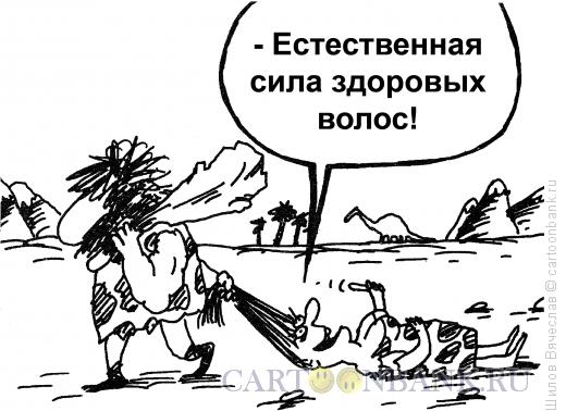 Карикатура: Волосы, Шилов Вячеслав