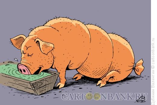 Карикатура: Свинья - колбаса, Дубинин Валентин