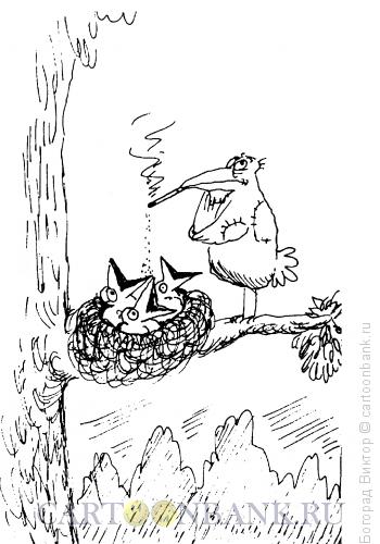 Карикатура: Птенцы, Богорад Виктор