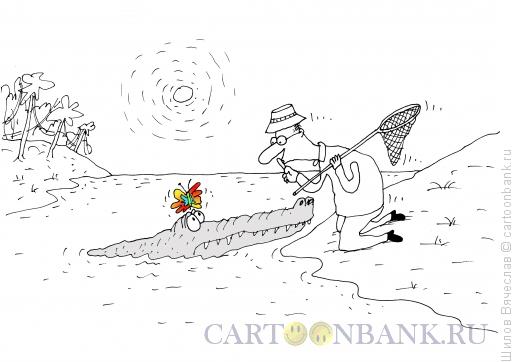 Карикатура: Бабочка и крокодил, Шилов Вячеслав