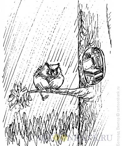 Карикатура: Ученая сова, Богорад Виктор