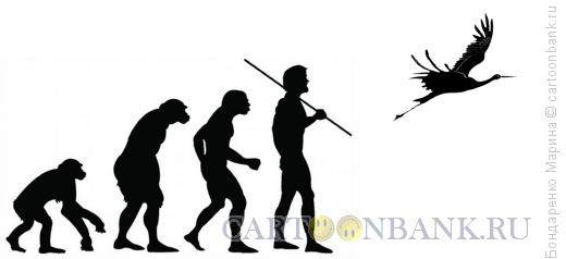 Карикатура: Эволюция, Бондаренко Марина